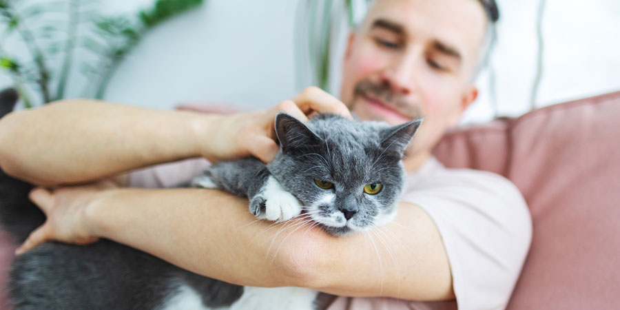 How to Be the Best Cat Dad Possible