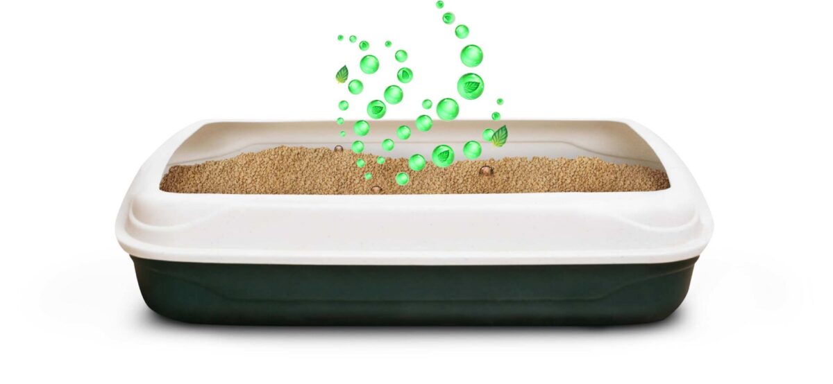 How Poop Fighter® Works - image of WBCL in litter box with pleasant scent indicators.