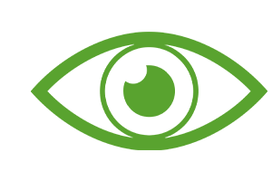 Eye Icon