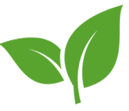 Leaf Icon