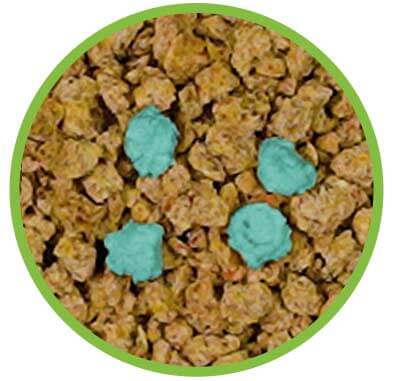 WBCL Boosters - light blue