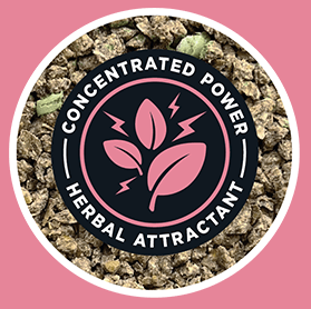 Concentrated Power - Herbal Attractant - icon