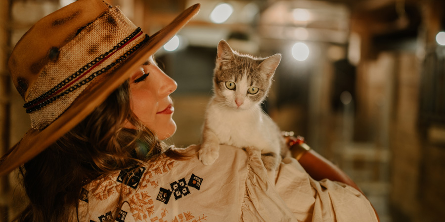 Cats and Dallas-Fort Worth, TX