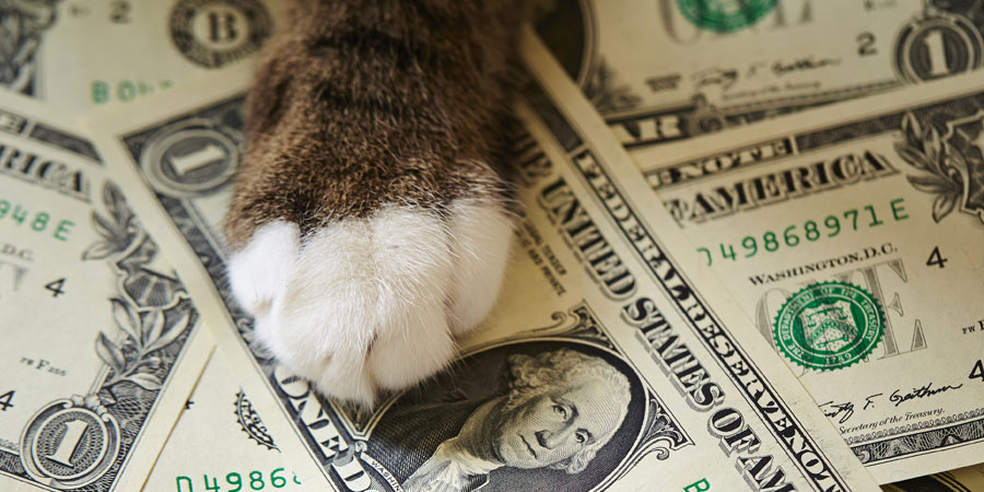 Benefits of Digital Cash Back