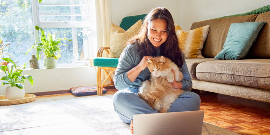 How AI Can Help You Be A Better Cat Owner