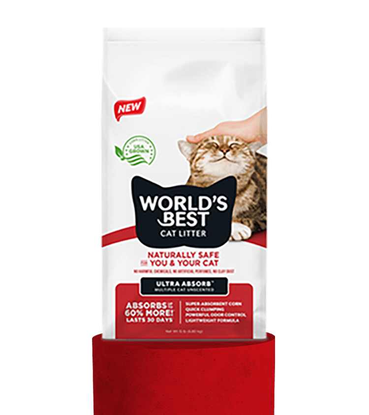 World's Best Cat Litter Ultra Absorb™