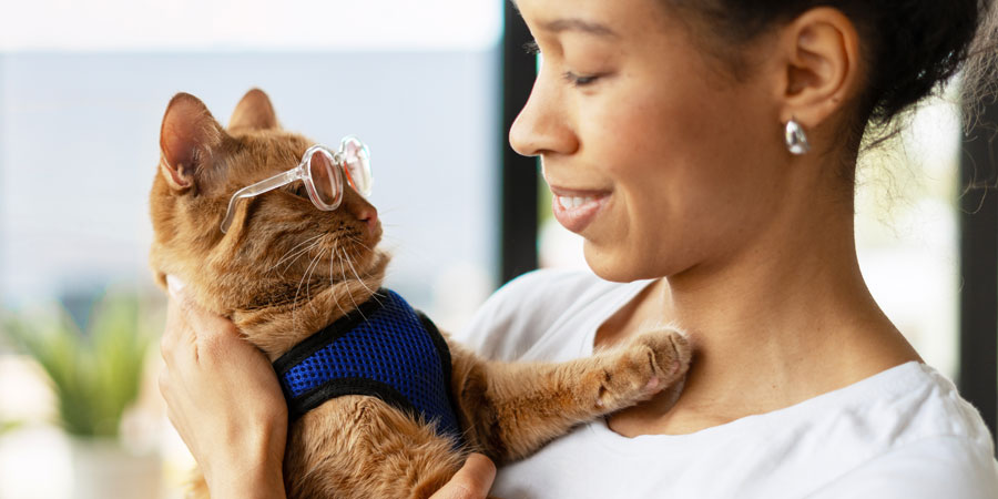 Are you a cool cat mom?