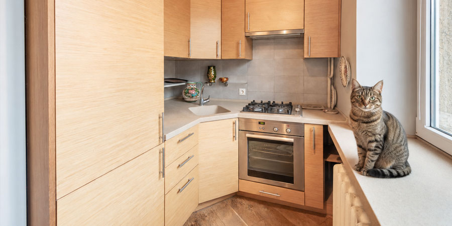 where to put cat litter in small apartment