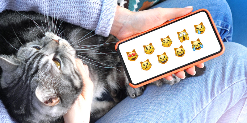 What does the cat emoji mean?